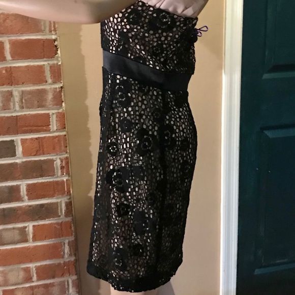 NWOT Modcloth | Mystic | Crochet Overlay Black Dress | Pink Ruffle Above Bodice - Picture 4 of 11